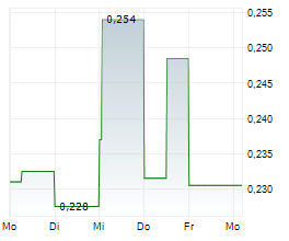 TUNGSTEN MINING NL Chart 1 Jahr TUNGSTEN MINING NL Chart 1 Jahr