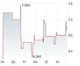 VIRTUIX HOLDINGS INC Chart 1 Jahr