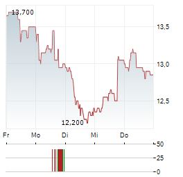 WABERERS Aktie 5-Tage-Chart