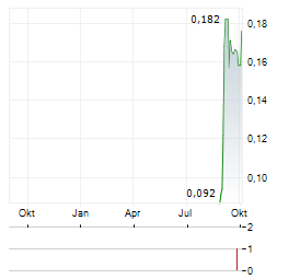 WHITE ENERGY Aktie Chart 1 Jahr