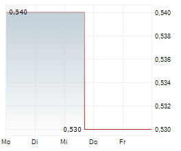 XTANT MEDICAL HOLDINGS INC Chart 1 Jahr